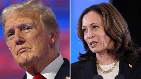 How polls rate Kamala Harris's chances against Trump - FRANCE 24 English