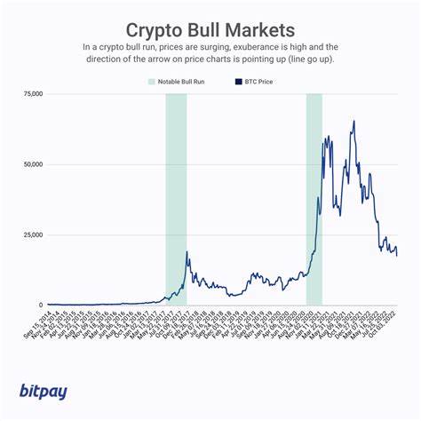 Why IntelMarkets (INTL) Could Skyrocket in the Next Crypto Bull Market — Leaving AVAX and DOGE Behind