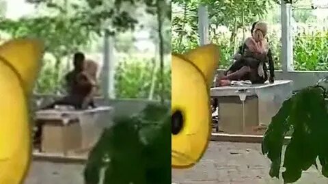Viral Video Pelajar Bogor Mesum di Taman, Pak Camat Bereaksi!