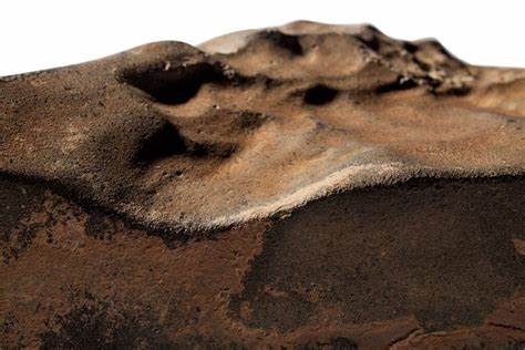 Largest chunk of Mars on Earth sells for $5.3M