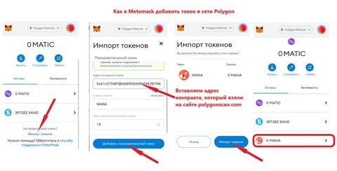 MetaMask plans BTC, SOL support & gas-free transactions - CryptoTvplus