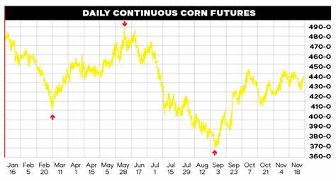 Corn Futures Backing Off Ahead of Weekend