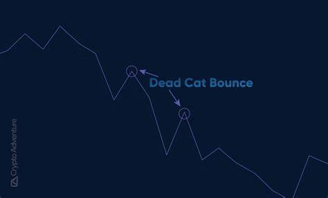 ‘Dead Cat Bounce Coming’ – Crypto Trader Issues Warning on Dogecoin Rival That’s Exploded 7,400%+ in Two Months - The Daily Hodl