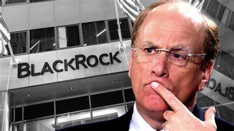 BlackRock’s BUIDL surged 200% in weeks — but it has only 11 holders - DLNews