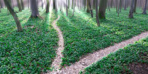 Fork that: Three alternative kernels show devs don't need Linux