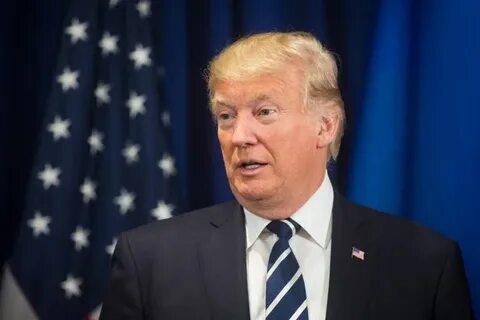 Elon Musk, Tucker Carlson, Ron DeSantis, Joe Rogan Or Marjorie Taylor Greene: Who's Most Likely To Buy Trump Coin? - Benzinga