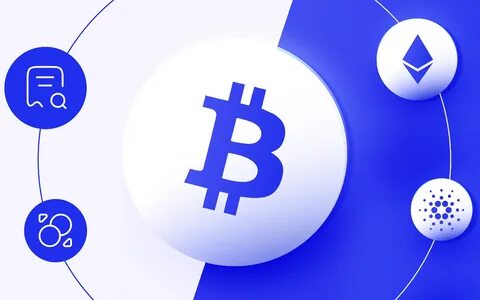 Crypto’s winning formula: It’s about investing in sectors, not coins - CapeTown ETC