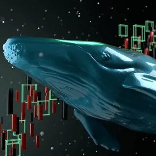 Blue_whale(@Square-blue_191c4)'s insights - Binance