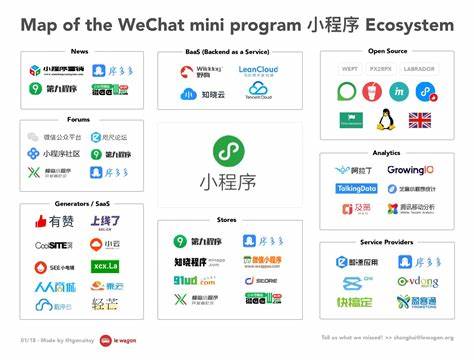 Why Super Apps took off in China