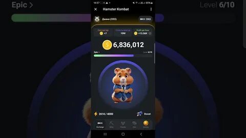 Notcoin Price Sheds Off 28% As Hamster Kombat Surpasses 100 Million Users On Telegram - Blockzeit