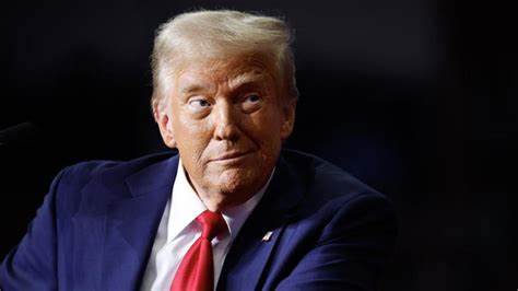 Donald Trump promotes new meme coin before taking office on pro-crypto agenda - The Economic Times