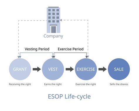 Ask HN: What happens post ESOPs vesting period is over at a startup?