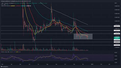 Why is Shiba Inu Coin Price Lagging Behind Amid 1B Transfers On Shibarium? - DailyCoin