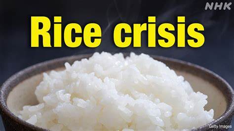 Rice prices have skyrocketed in Japan — and farmers warn that ‘everyone who eats’ that disaster could be near