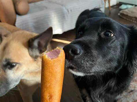 You Had No Taste Before AI