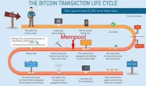 Explained: Mempools and their importance in the Bitcoin mining process - CNBCTV18