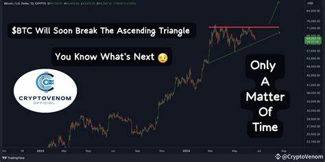 CryptoVenom(@Ven0m)'s insights - Binance
