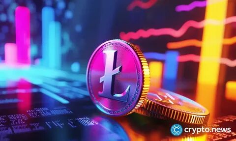 Shiba Inu price stuck in a range as Shibarium activity dries - crypto.news