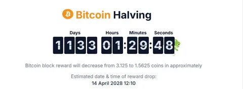 How High XRP May Rise Before the 2028 Bitcoin Halving - The Crypto Basic