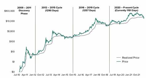 The Crypto Market’s Steady Ascent