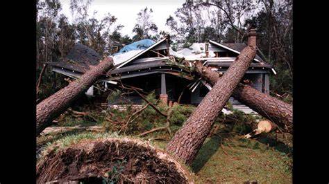 Hurricane Francine’s impacts left a mix of both positive and negative emotions in local farmers