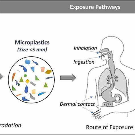 Human exposure to PM10 microplastics in indoor air