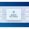 Salesforce-MuleSoft-Associate Actual Questions
