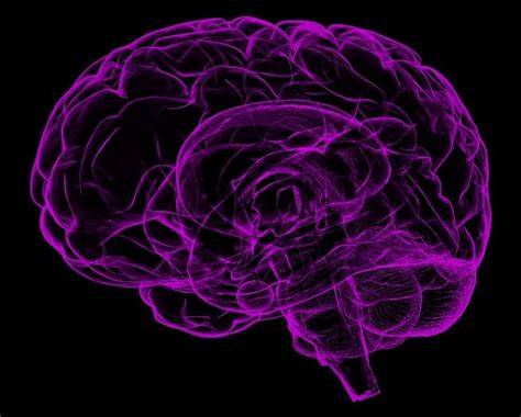 CTE and normal aging are difficult to distinguish, new study finds