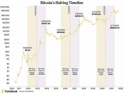 Beyond Bitcoin Halving: What's Next? - CoinGecko Buzz