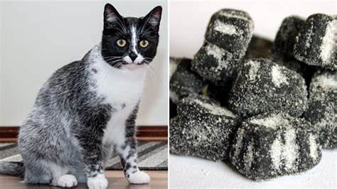 A new Finnish flavor of feline coat coloration, "salmiak