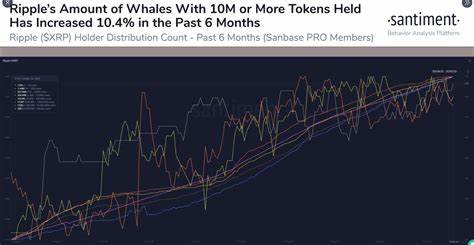 XRP Latest News: Can XRP Grow 100% and Why Whales Are Accumulating JetBolt