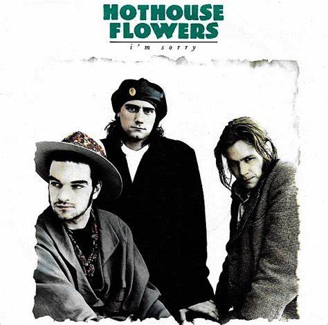 Hothouse Flowers Discography: Vinyl, CDs, & More | Discogs