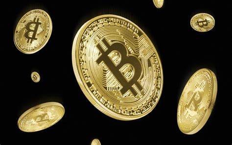 How the ultimate investment gamble took over the world