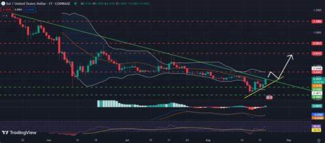 Sui steigt 100 % in einem Monat: Dieser Coin ist der Nächste