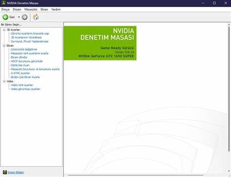 NVIDIA Denetim Masası'ndaki 'Digital Vibrance' ayarı her defasında 