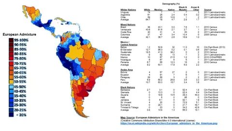 Where is Latin America on the map of recent innovations? The race for Bitcoin, AI, and more - MercoPress