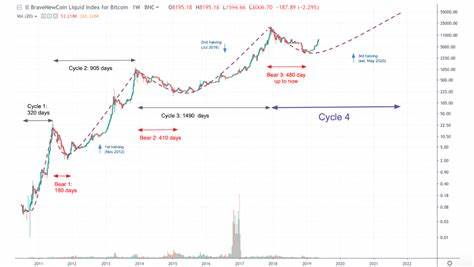 Bitcoin price aligns with past cycles despite correction concerns - CryptoSlate