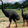 Colossal Biosciences to de-extinct giant Moa bird