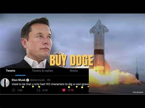 Dogecoin surges by 1.2% after Elon Musk makes Cryptic tweet on it - Nairametrics