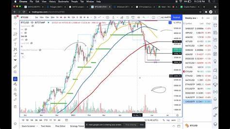 Bitcoin Price Primed for a Bullish Rebound as Supply on Exchanges Falls0