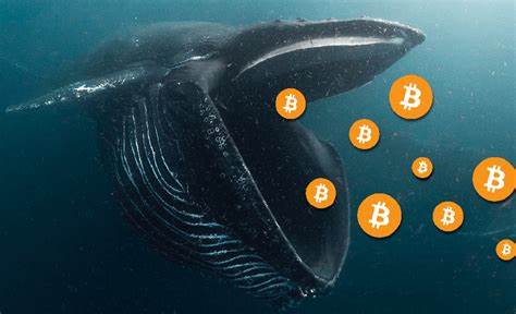 Bitcoin Whales Are Cashing Out Amid Push To New All-Time High - NewsBTC