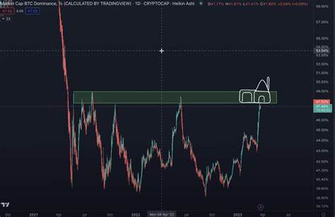 Analyst Benjamin Cowen Issues Warning, Says It’s Time for Altcoins To Collapse Against Bitcoin - The Daily Hodl