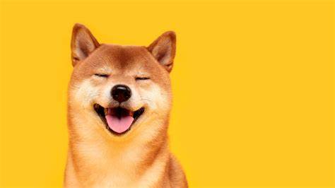 What is Dogecoin? Everything you need to know about the cryptocurrency - Mashable