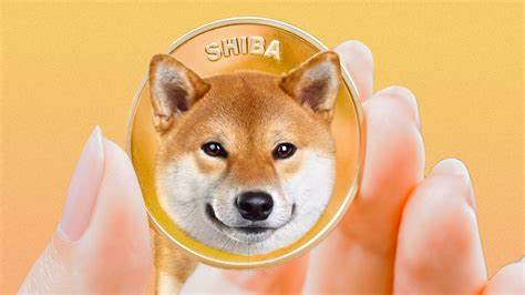 Meme Coin Price Forecast For June: Shiba Inu, Raboo and PEPE | Bitcoinist.com - Bitcoinist