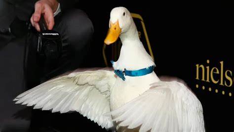 Aflac discloses cyber intrusion linked to wider crime spree targeting insurance industry