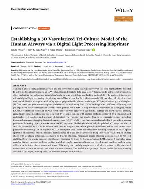 A 3D Model of the Human Airways via a Digital Light Processing Bioprinter