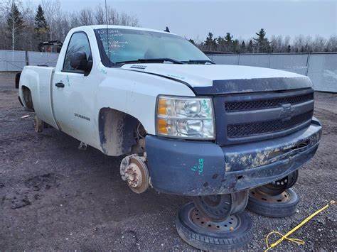 Îles Malouines | 2025 | Ameriquelatine360.com