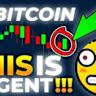 Bitcoin auf Rekordhoch: US-Politik, ETFs und Altcoins prägen die Krypto-Märkte