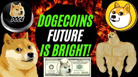 Dogecoin, XRP, MAGACOIN: Which Could Skyrocket 15,800% in 2025? - Cryptopolitan
