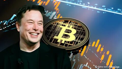Lazarus Hacker Group Now Holds More Bitcoin Than Tesla and Elon Musk - InvestX